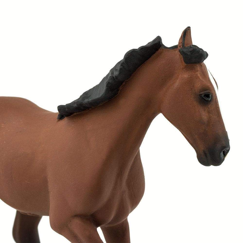 Thoroughbred Toy-1