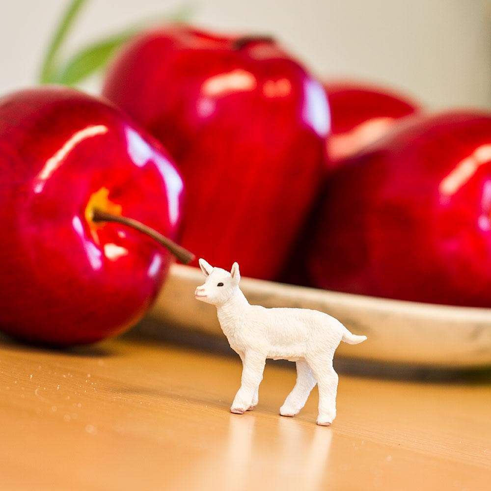 Baby "Kid" Goat Toy-4