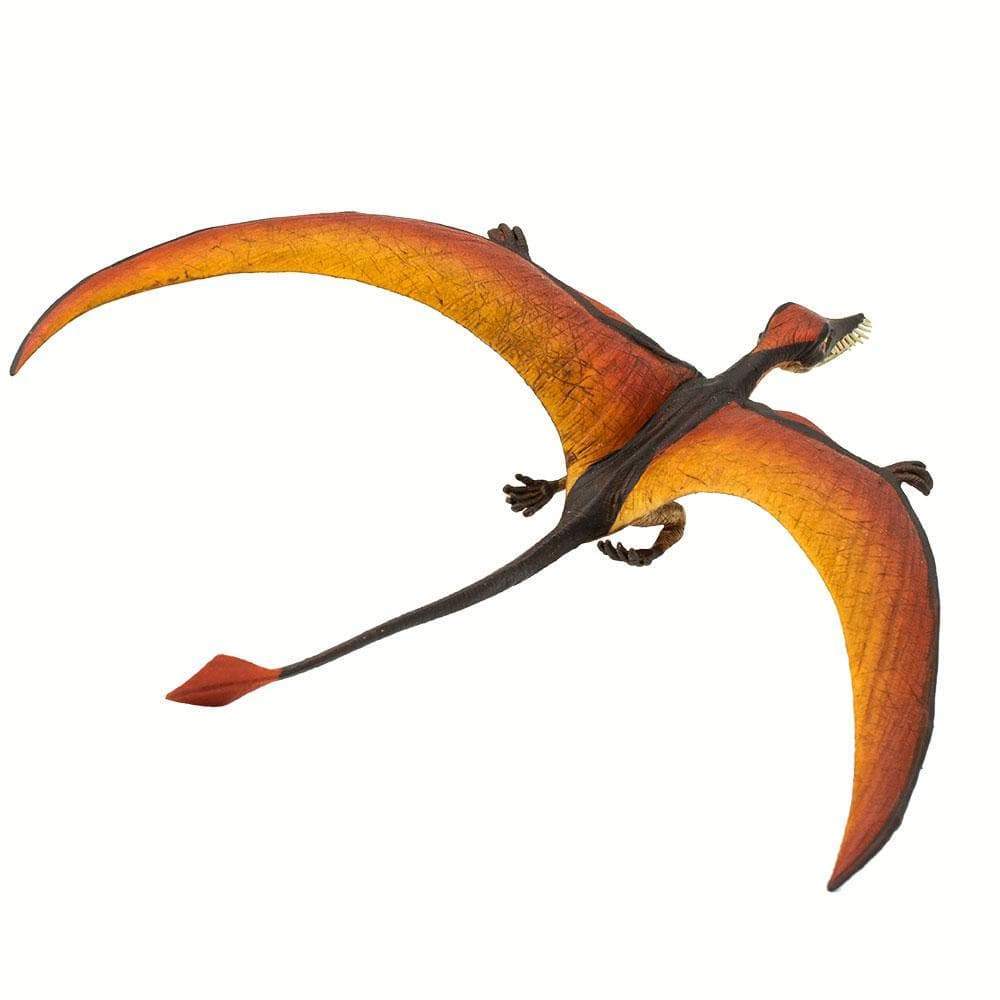 Rhamphorhynchus Toy-3
