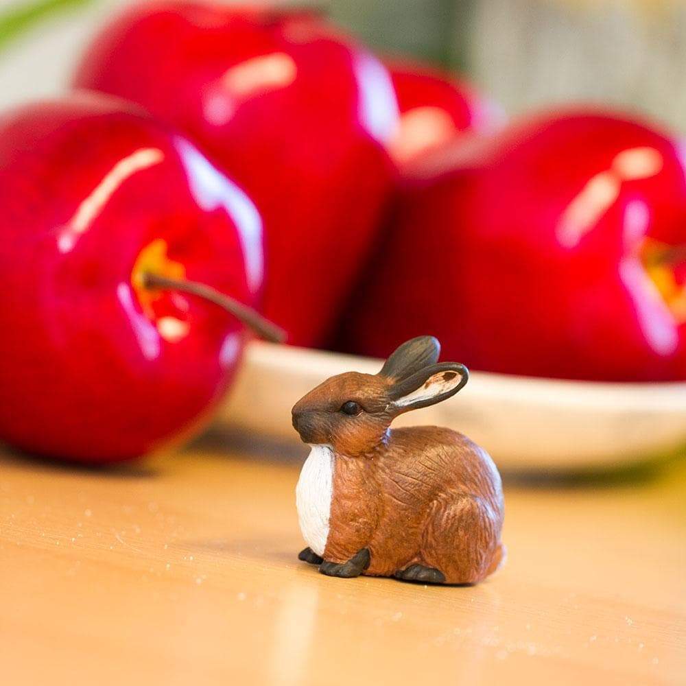Rabbit Toy-4