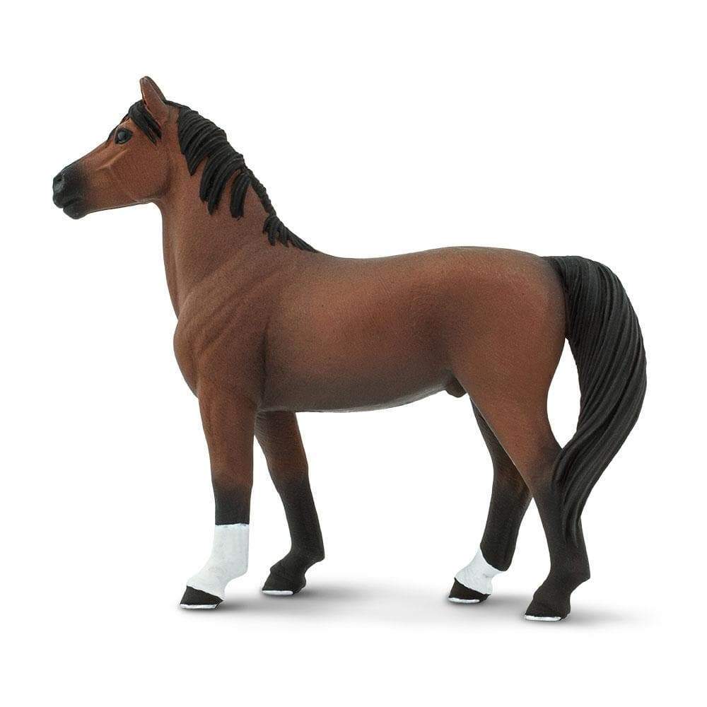 Morgan Stallion Toy-1