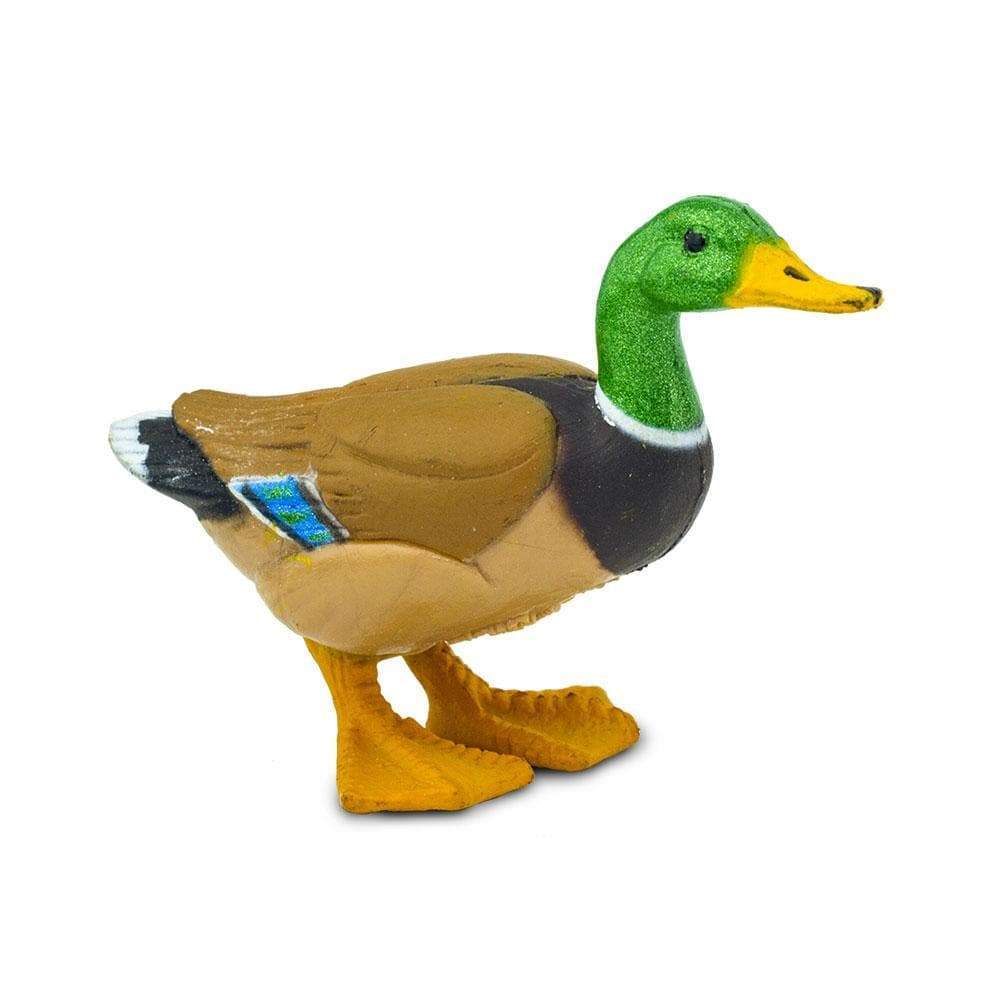 Mini Duck Toy-2