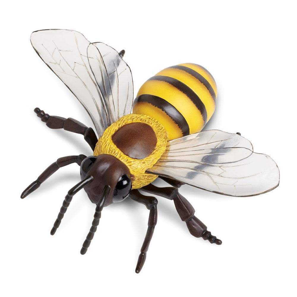 Honey Bee Toy-0
