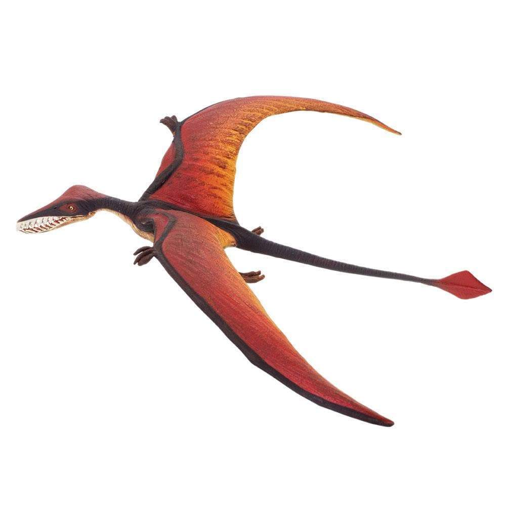 Rhamphorhynchus Toy-4