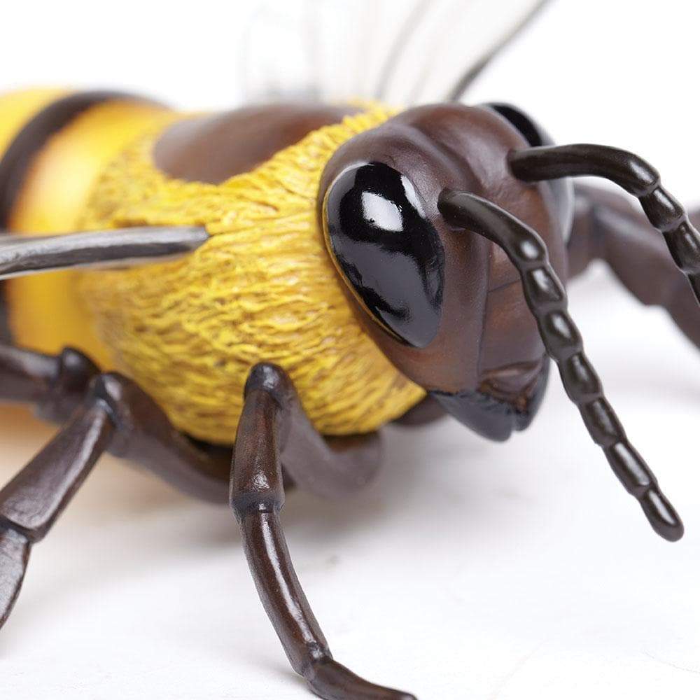 Honey Bee Toy-2
