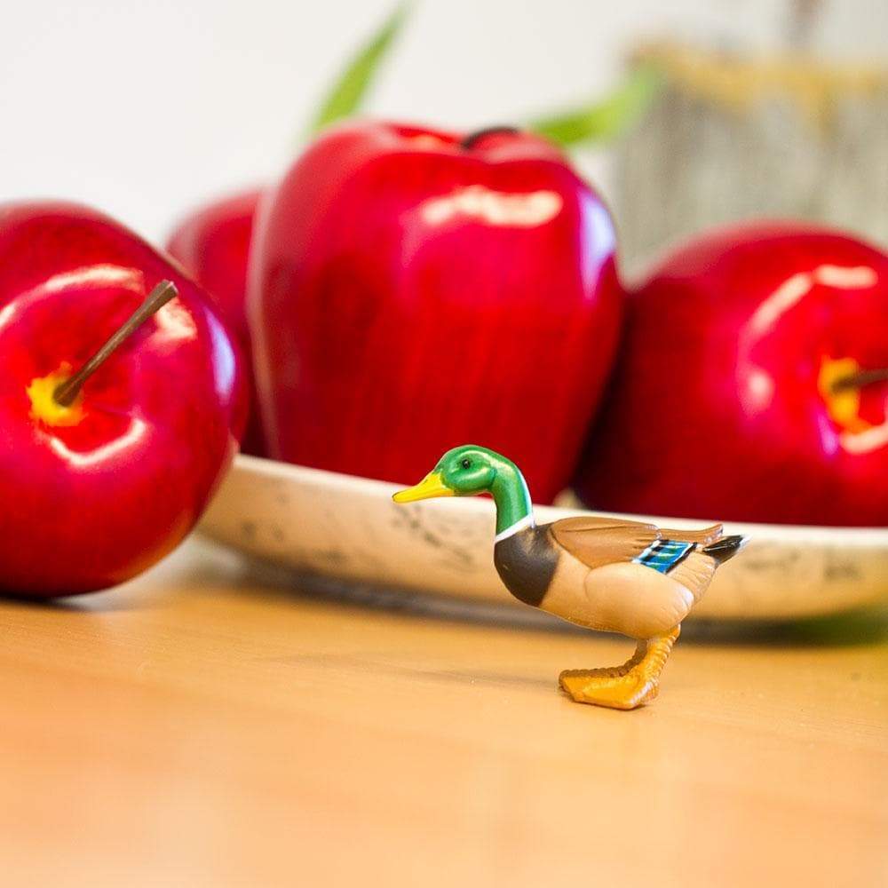 Mini Duck Toy-4
