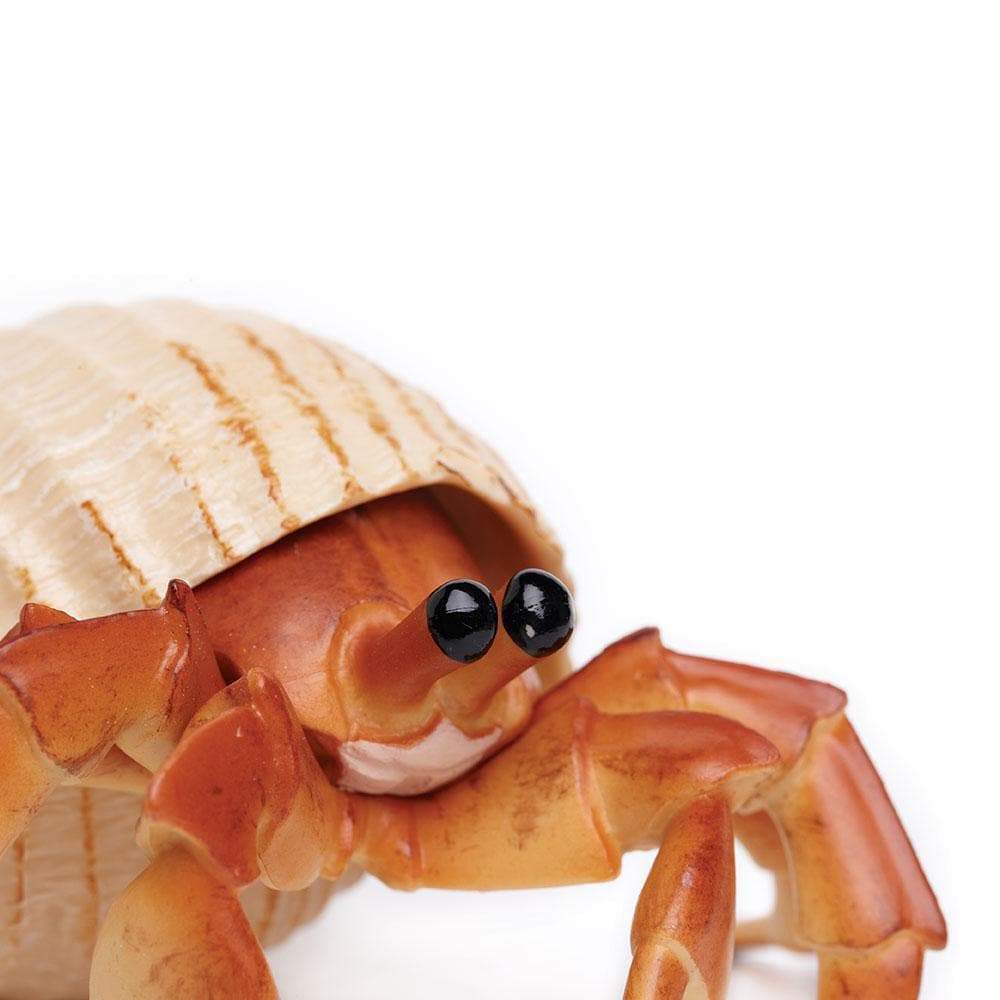 Hermit Crab Toy-2