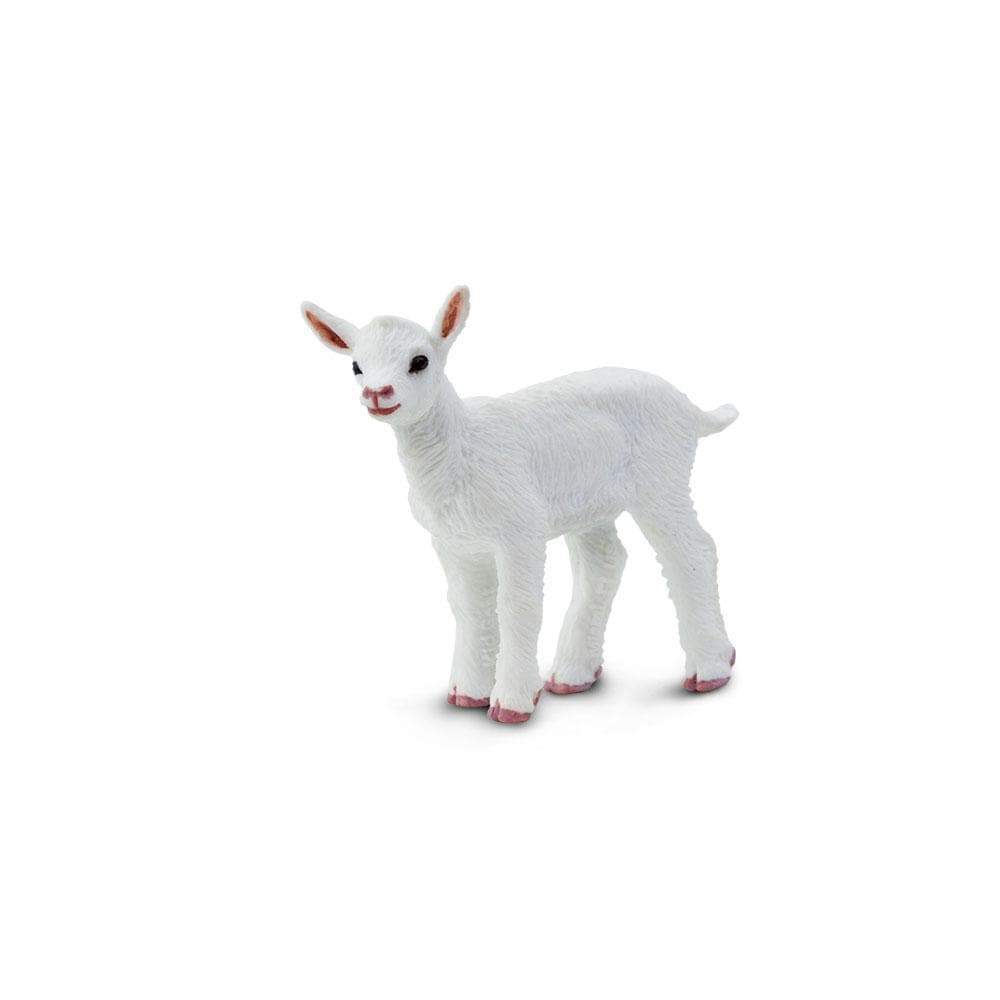 Baby "Kid" Goat Toy-0