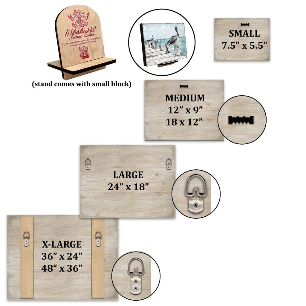 Seashell Wood Wooden Coastal Wall Art by Nature Wonders - Coastal Sea-Life Decor - 95250B