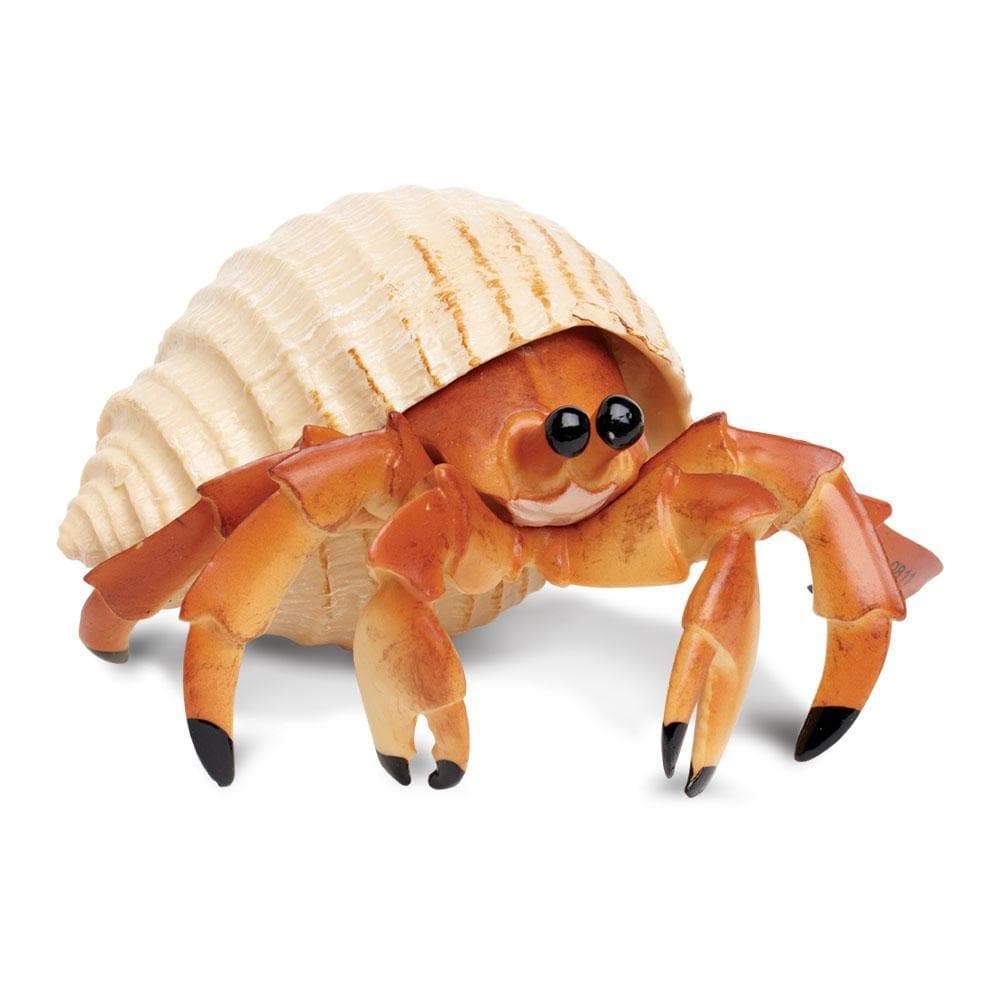 Hermit Crab Toy-0