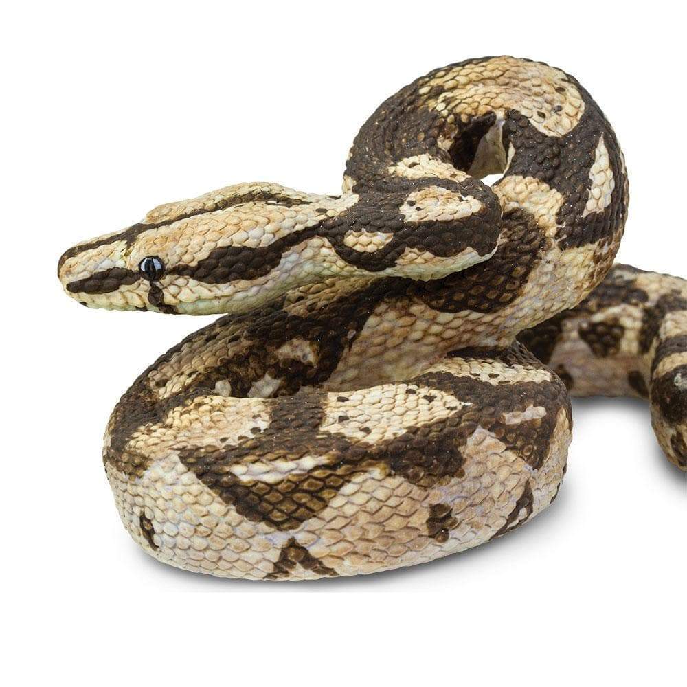Boa Constrictor Toy-4