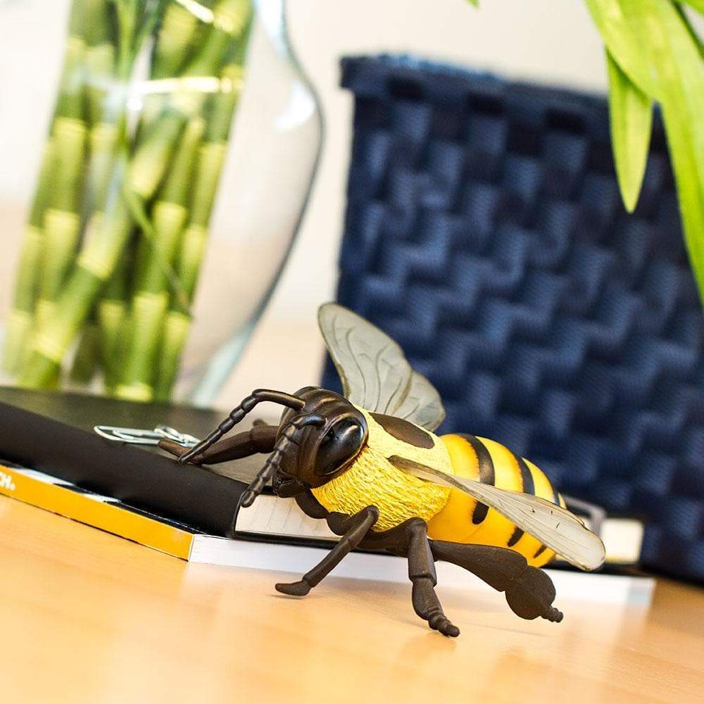 Honey Bee Toy-1