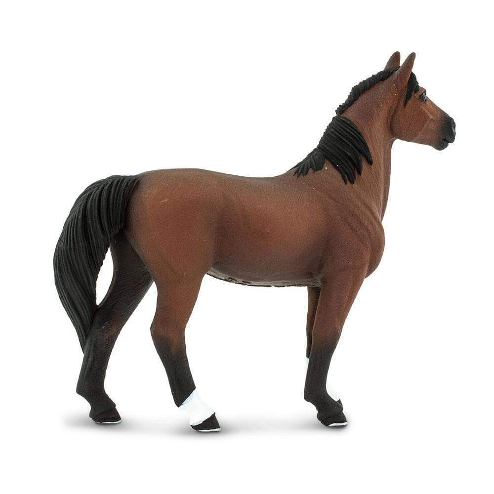 Morgan Stallion Toy-3