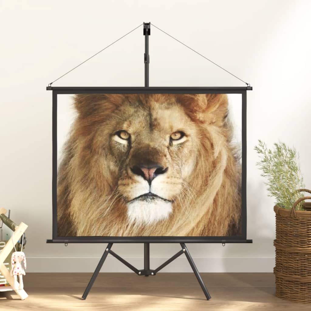 vidaXL projection screen Home Theater Screen Pull-down Projector Screen 4:3-6