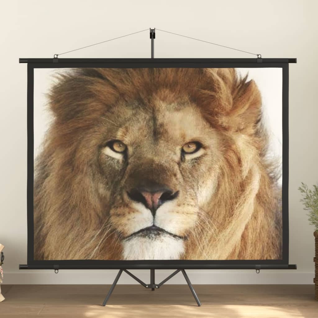 vidaXL projection screen Home Theater Screen Pull-down Projector Screen 4:3-12