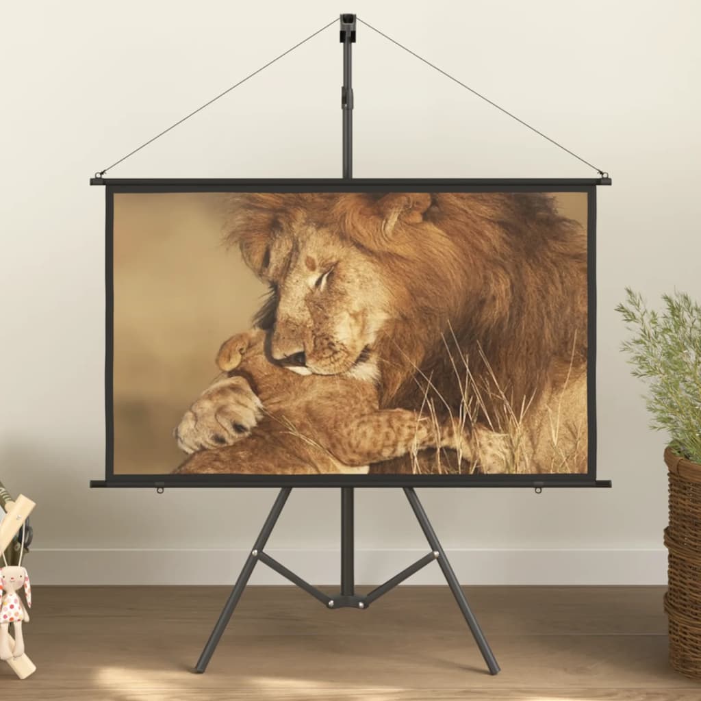 vidaXL projection screen Home Theater Screen Pull-down Projector Screen 4:3-5
