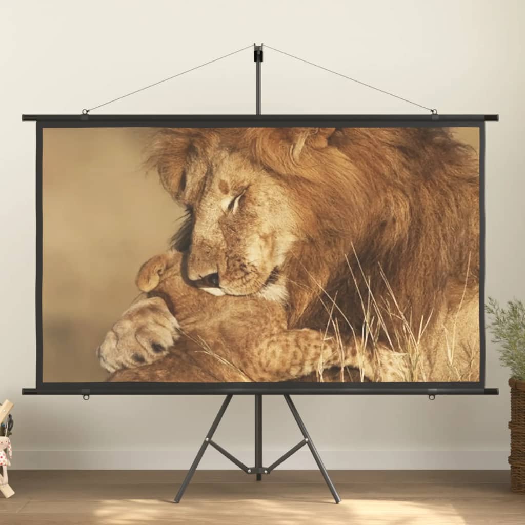 vidaXL projection screen Home Theater Screen Pull-down Projector Screen 4:3-10