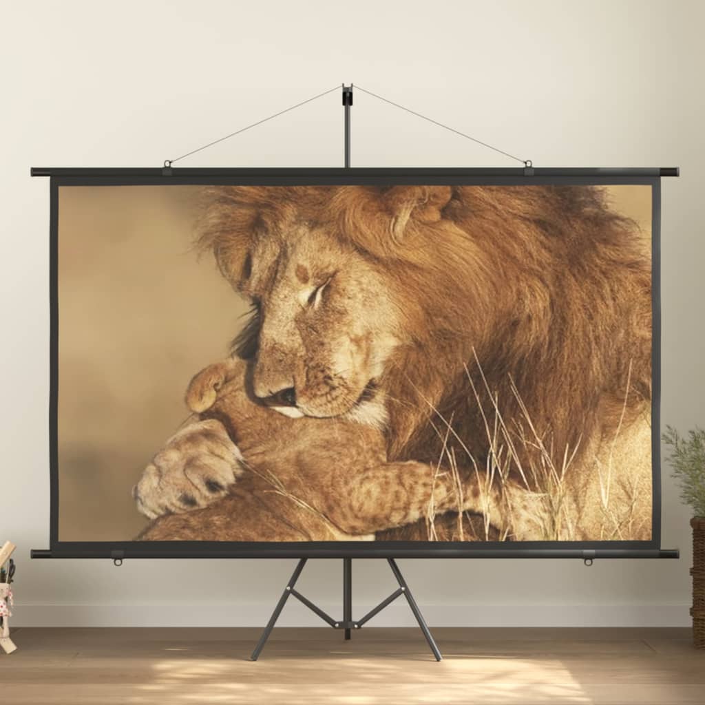 vidaXL projection screen Home Theater Screen Pull-down Projector Screen 4:3-11