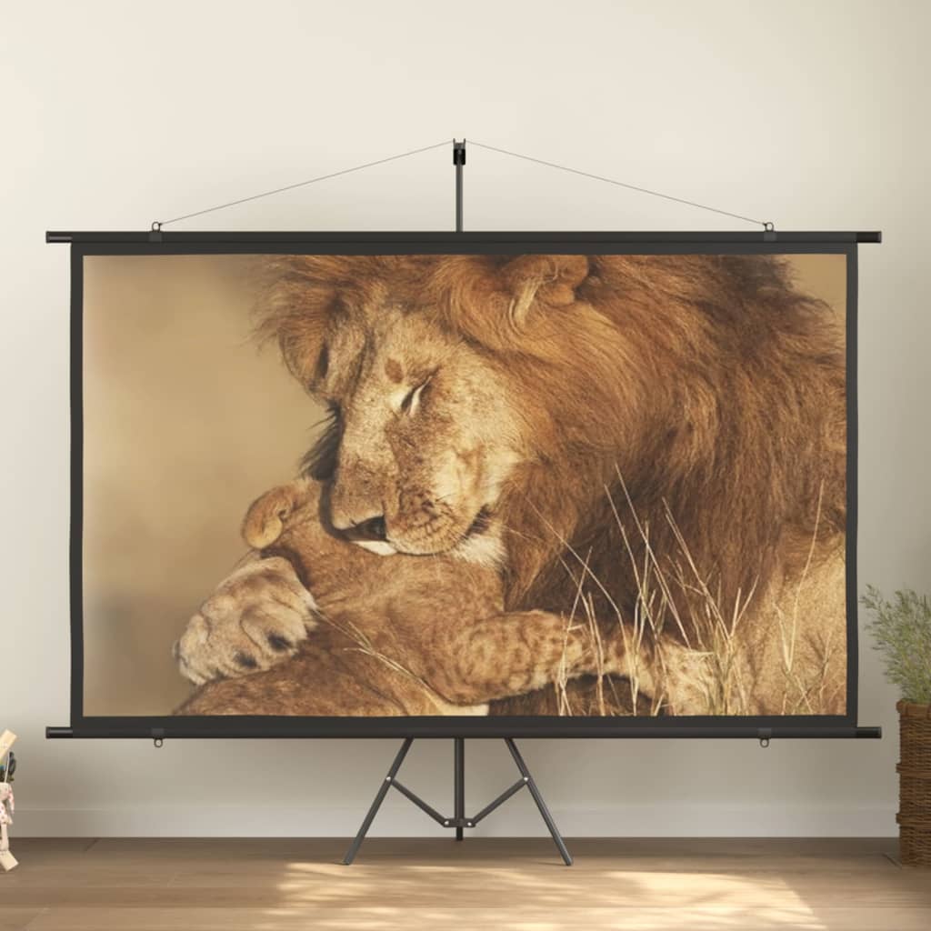 vidaXL projection screen Home Theater Screen Pull-down Projector Screen 4:3-17