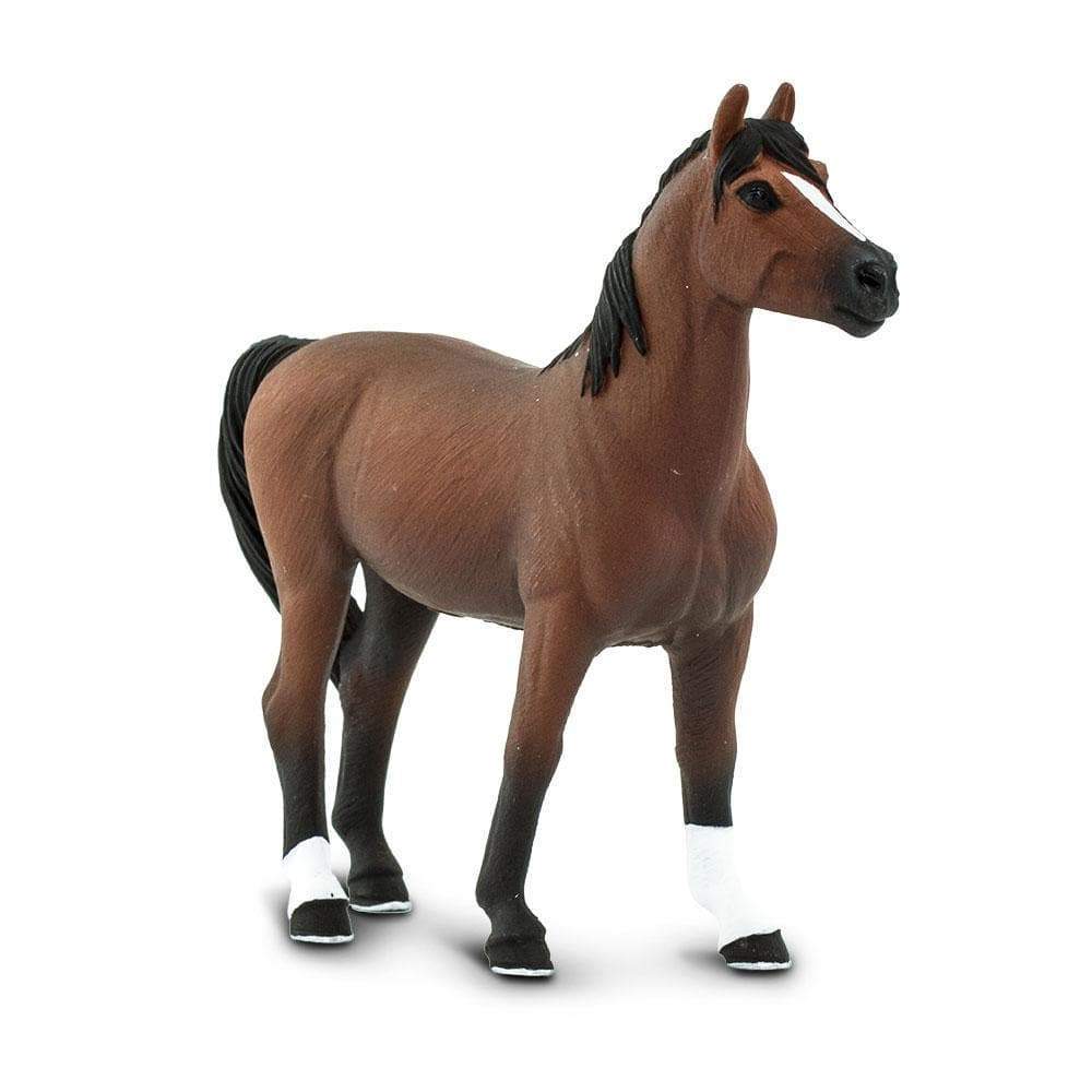 Morgan Stallion Toy-2