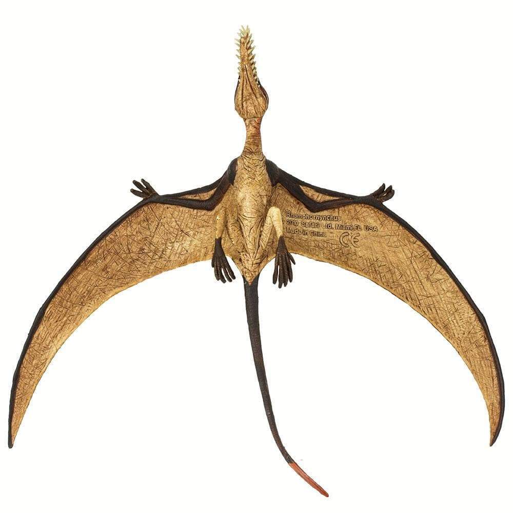 Rhamphorhynchus Toy-2