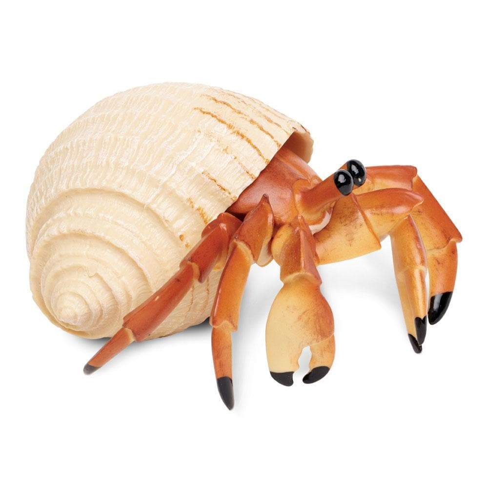 Hermit Crab Toy-1