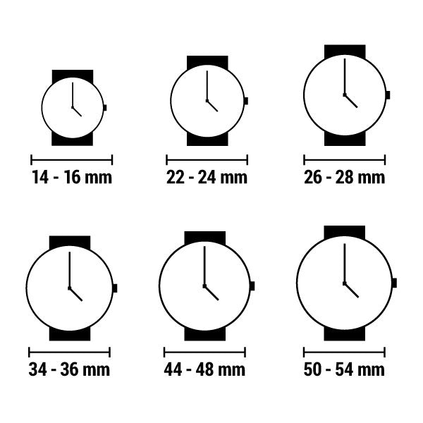 Men's Watch Hugo Boss 1514030