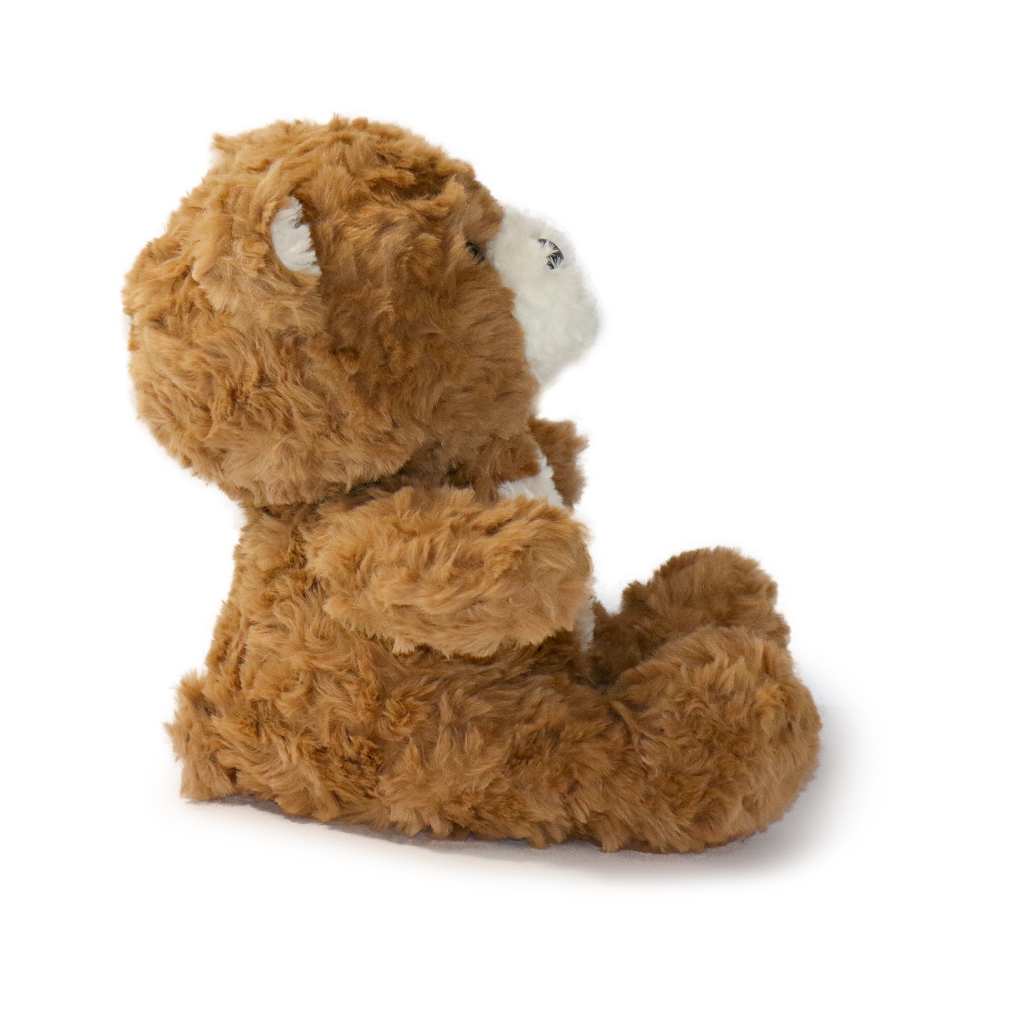 Toffee Bear