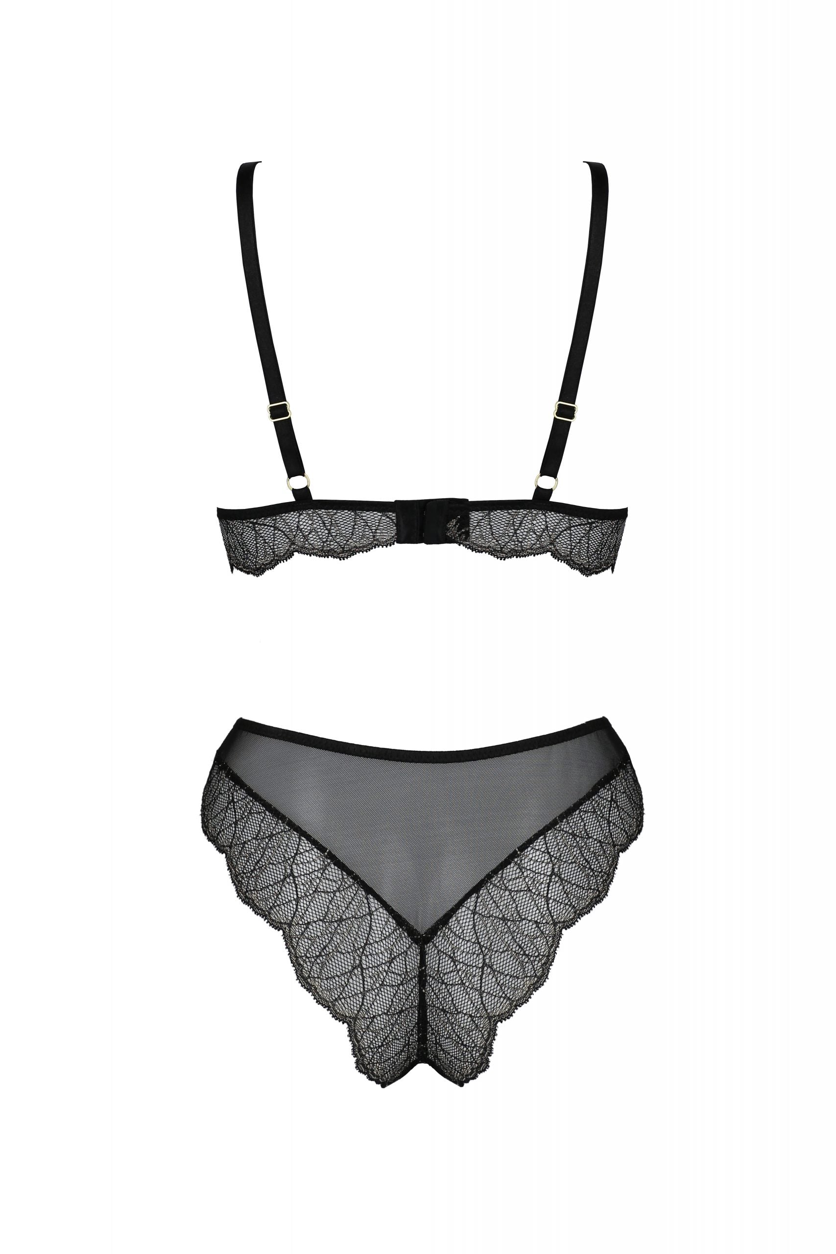 Soft Sheer Lace Top & Bikini Set Passion Amberly