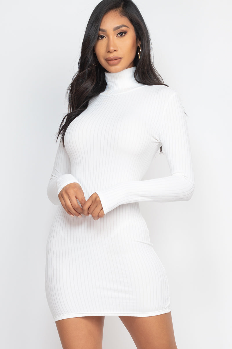 Ribbed Mock Neck Bodycon Mini Dress (CAPELLA)