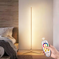 RGBCW Golden Corner Floor Lamp