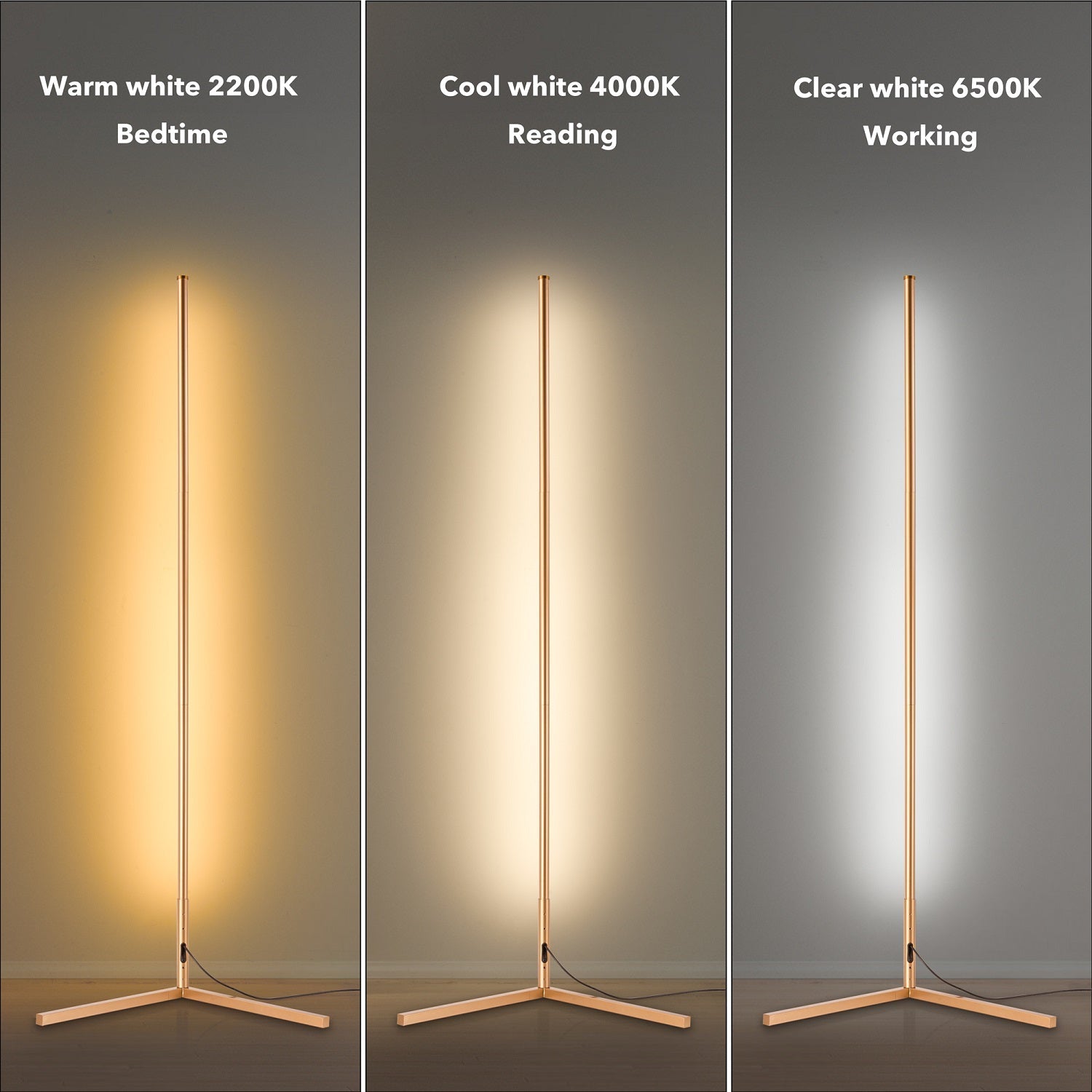 RGBCW Golden Corner Floor Lamp