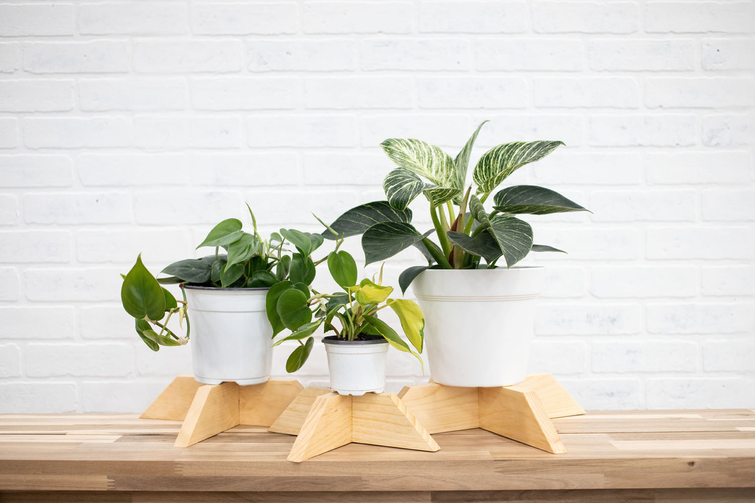 Set of 3 Elevated Wood Plant Stands