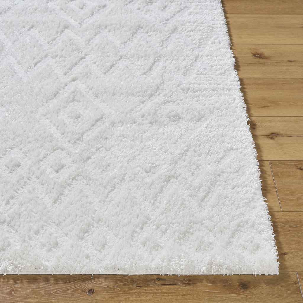Hoshi Area Rug