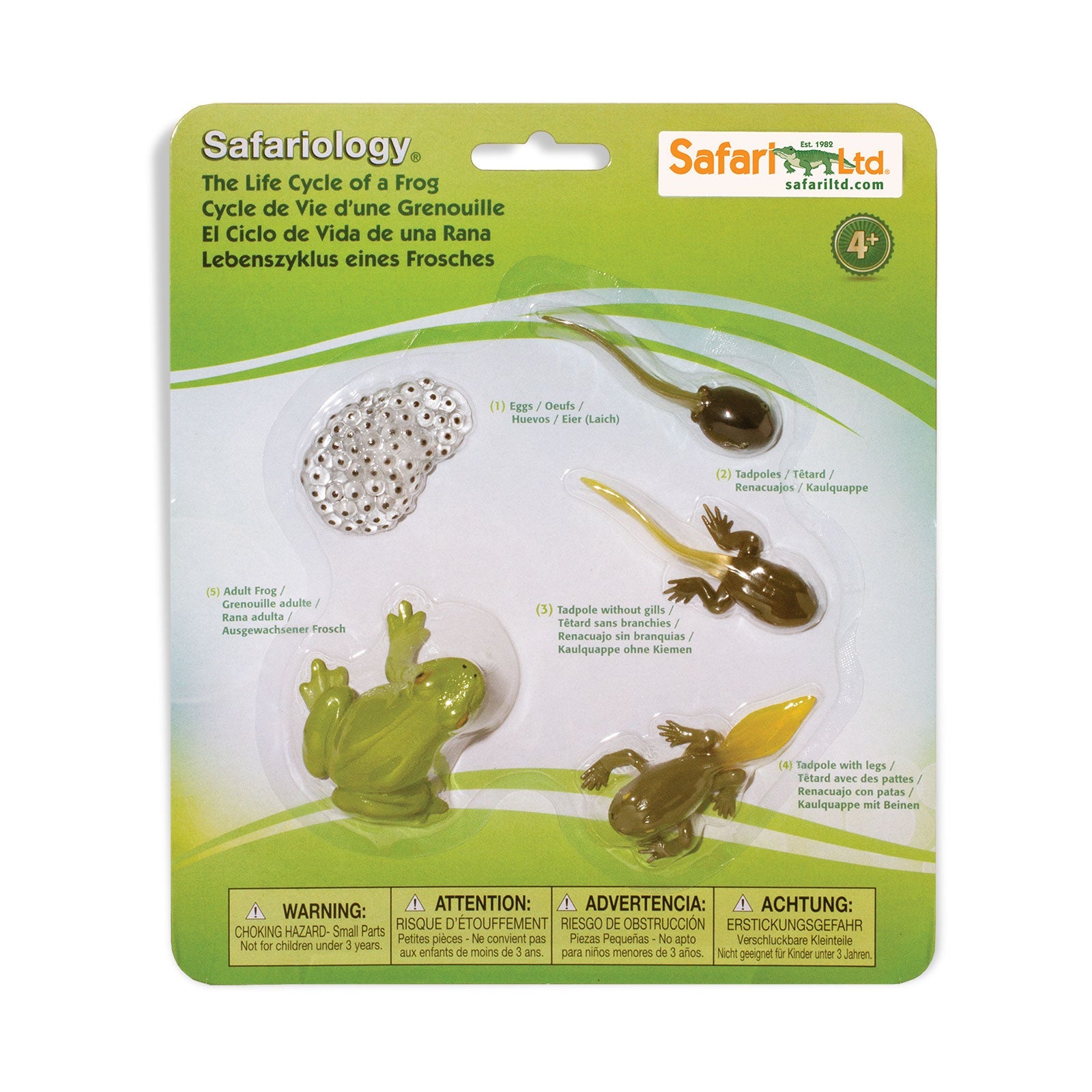 Life Cycle of a Frog Toy Set-0