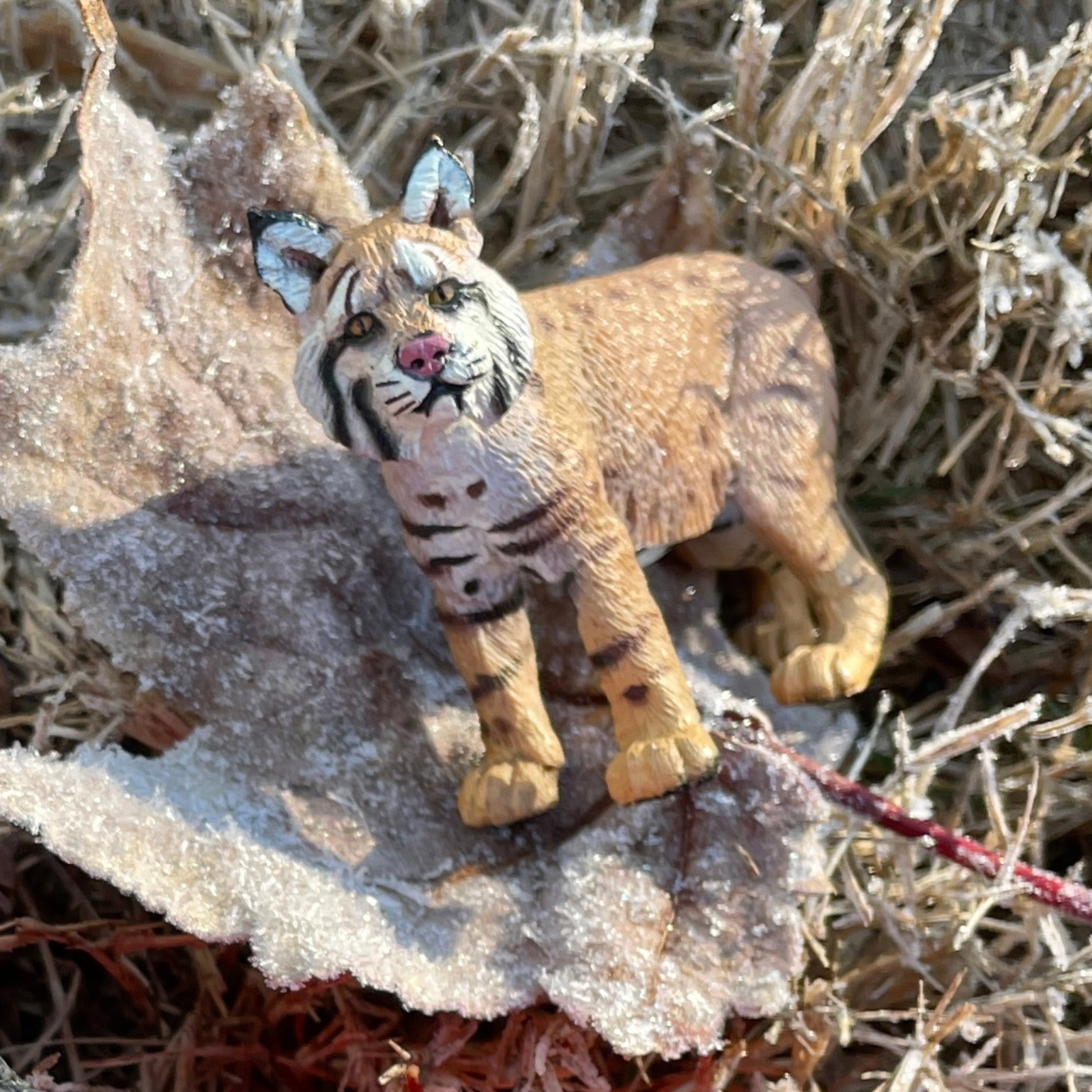 Bobcat Toy-4