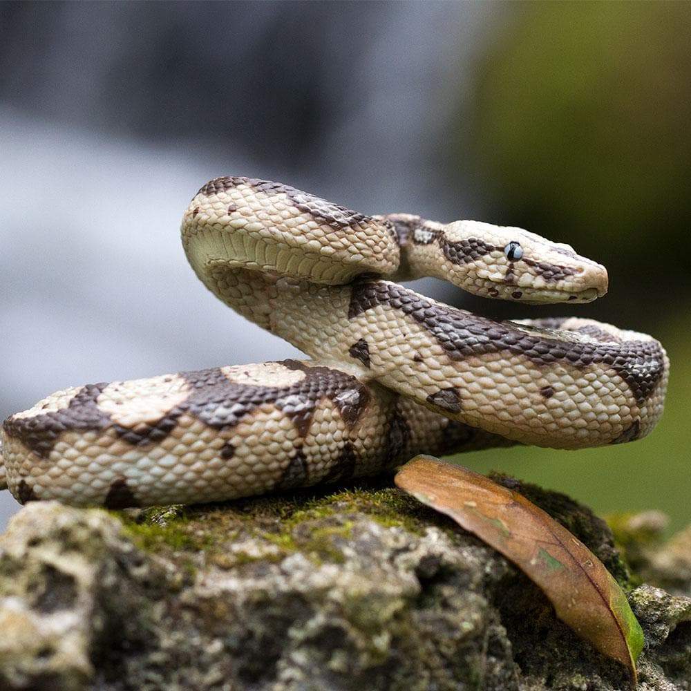Boa Constrictor Toy-3