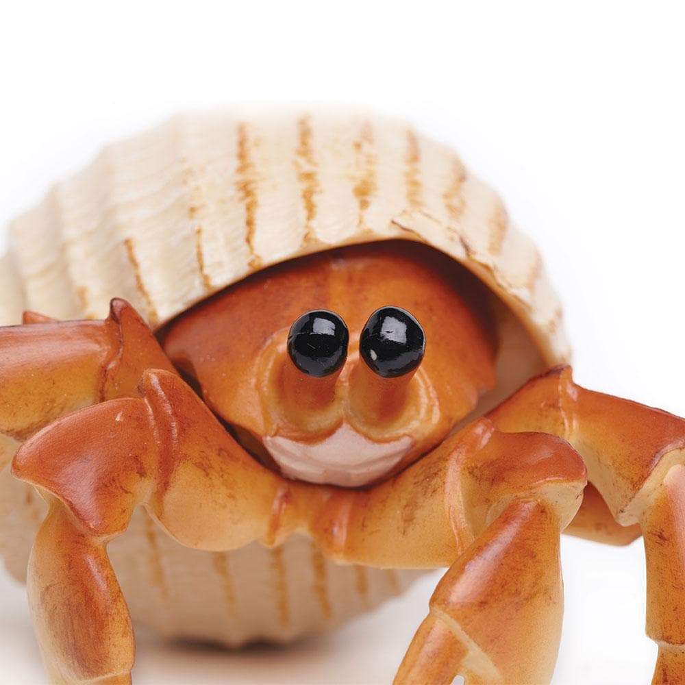 Hermit Crab Toy-3