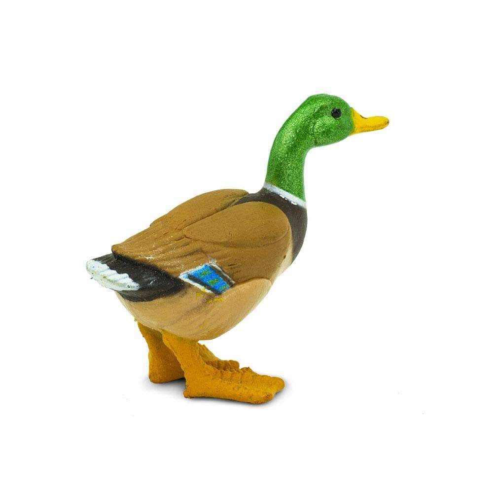 Mini Duck Toy-1
