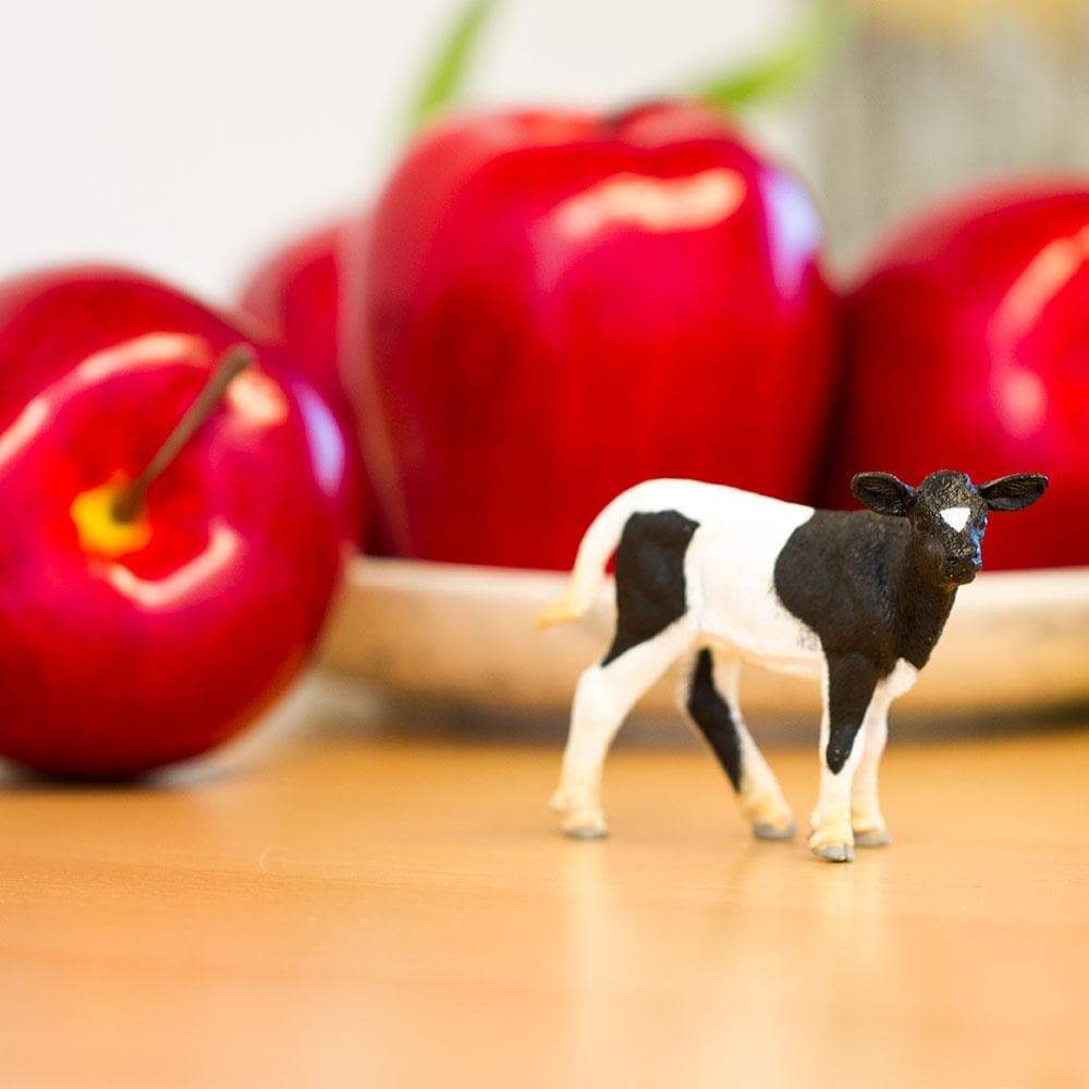 Holstein Calf Toy-1