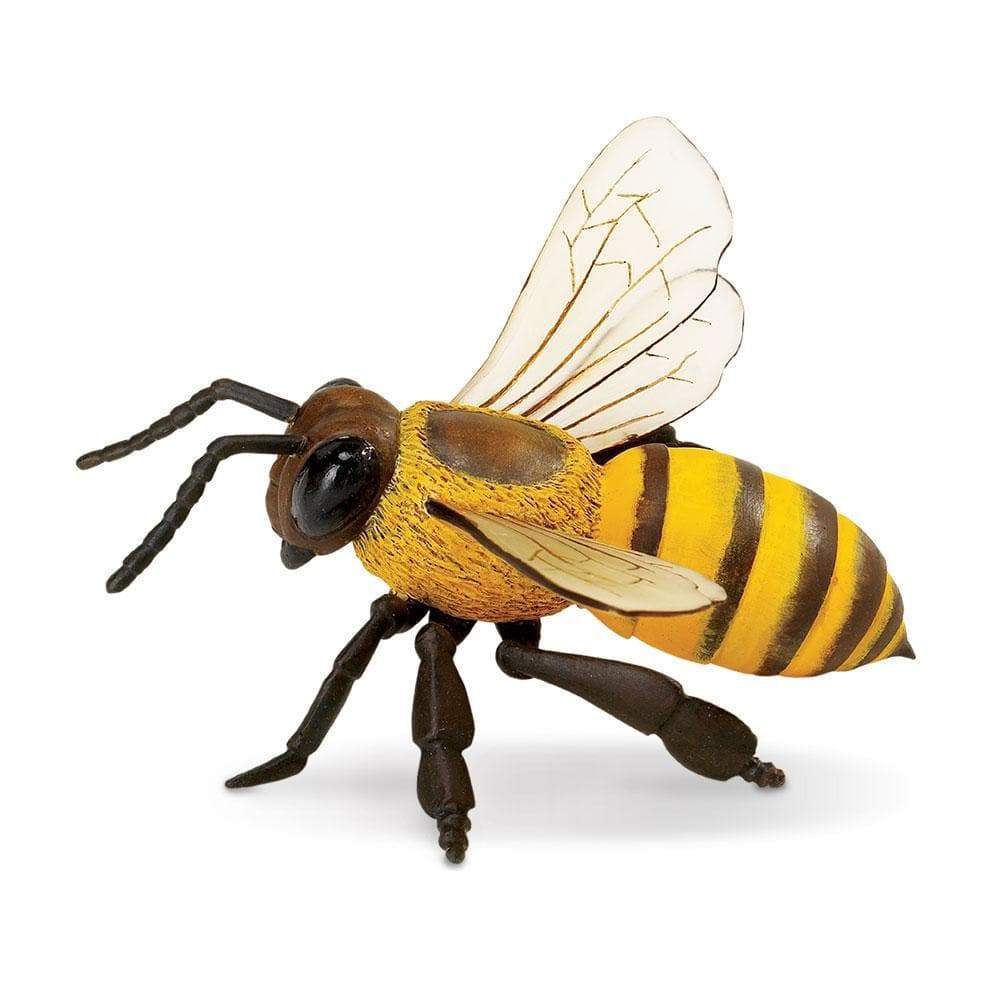 Honey Bee Toy-3