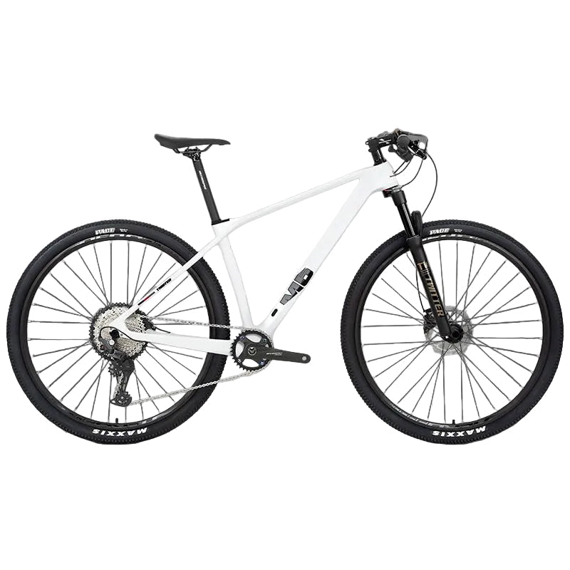 M5 (Boost) - Twitter Carbon Road Bike