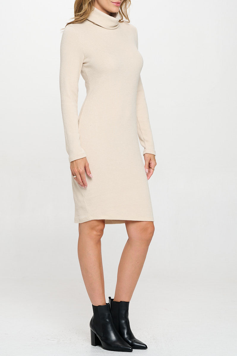 Solid Rib Knit Turtleneck Bodycon Dress