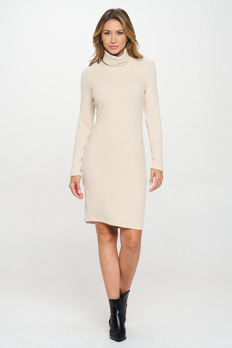 Solid Rib Knit Turtleneck Bodycon Dress