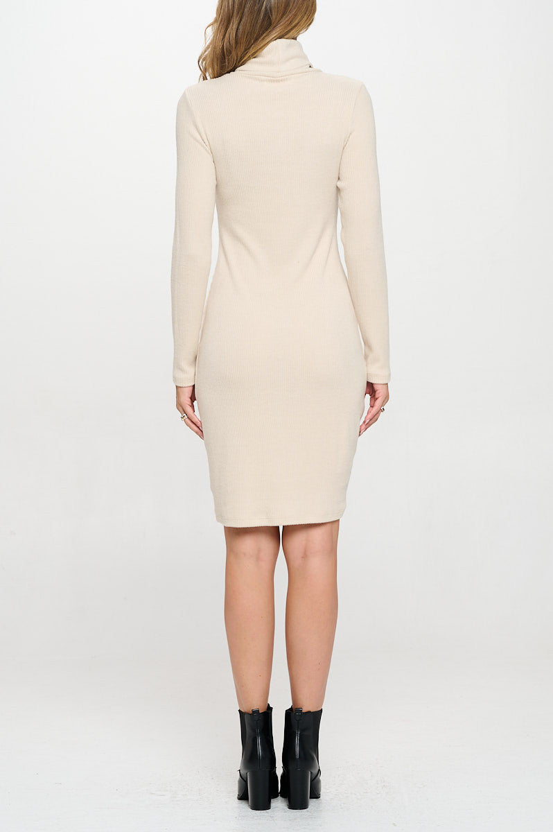 Solid Rib Knit Turtleneck Bodycon Dress