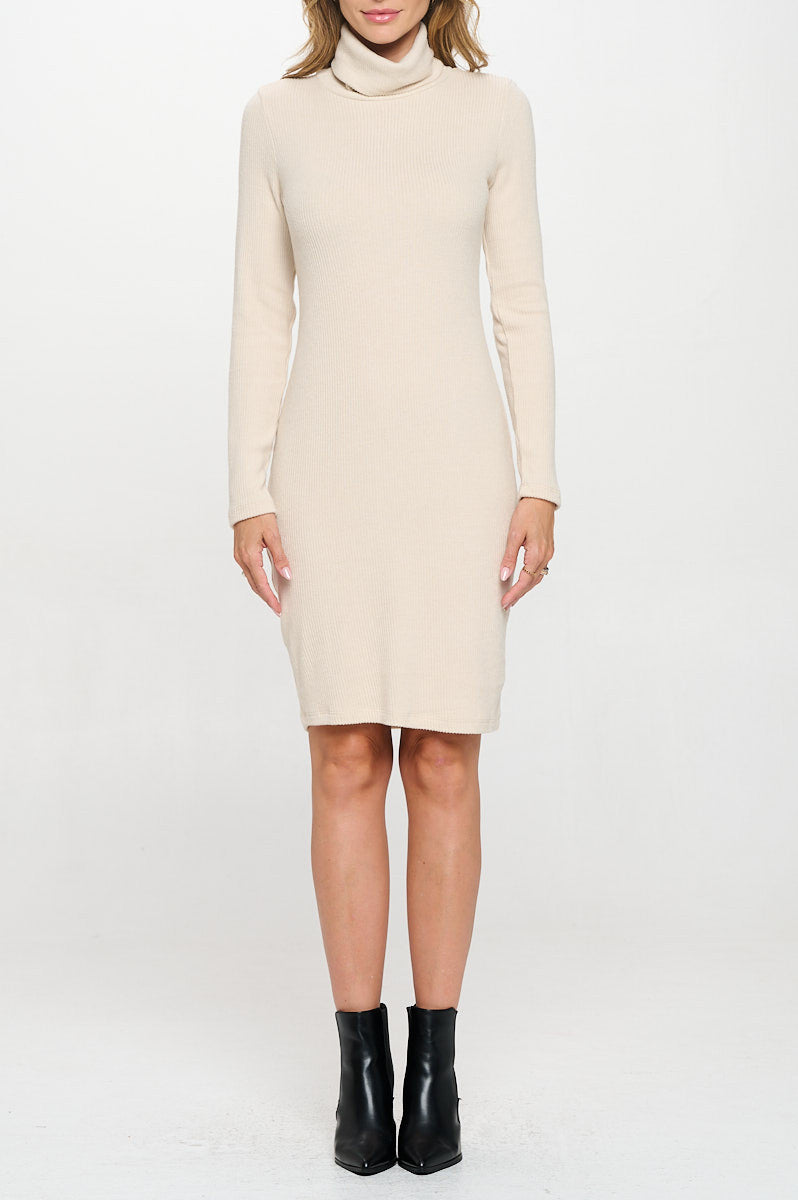 Solid Rib Knit Turtleneck Bodycon Dress