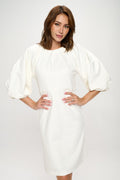 Balloon Sleeve Dress