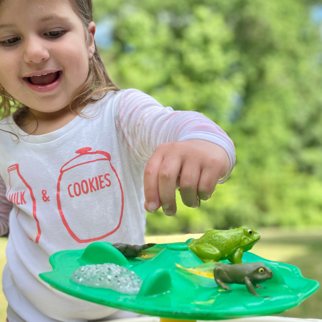 Life Cycle of a Frog Toy Set-4