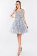 Embroidery Embellished Bodice Glitter Pattern Mesh Skirt Short Dress