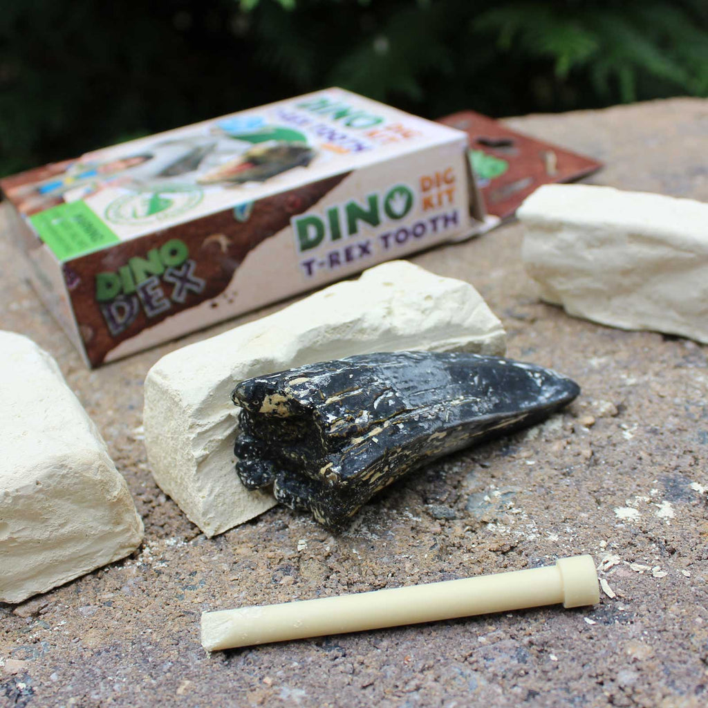 Dino Dexter Dino Tyrannosaurus Rex Tooth Dig Kit-3